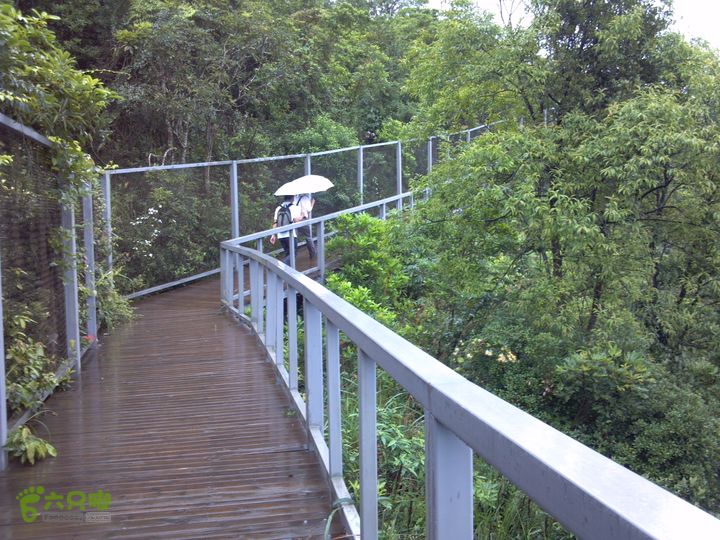 东部华侨城－2号绿道—梅亭2013-05-25_11-08-02_298