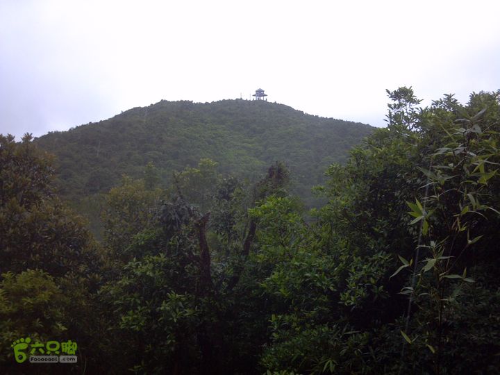 东部华侨城－2号绿道—梅亭2013-05-25_11-22-06_99