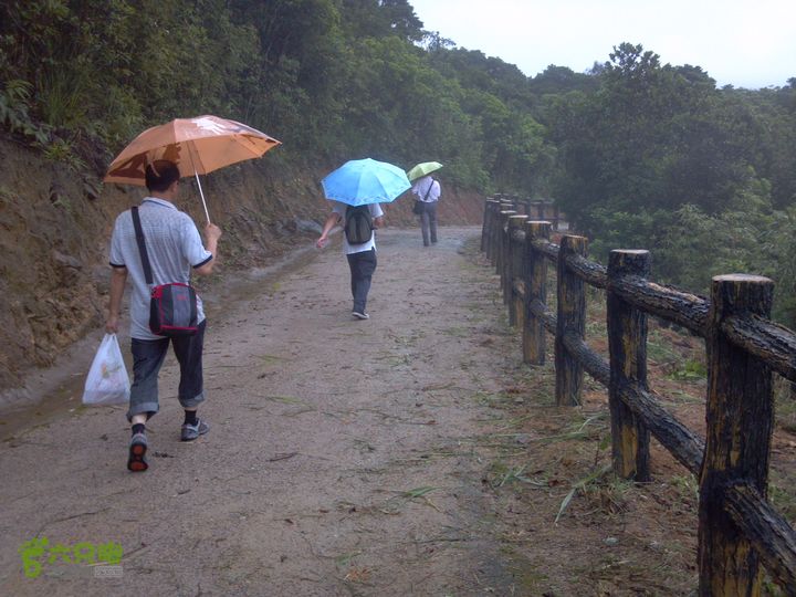 东部华侨城－2号绿道—梅亭2013-05-25_11-22-10_725