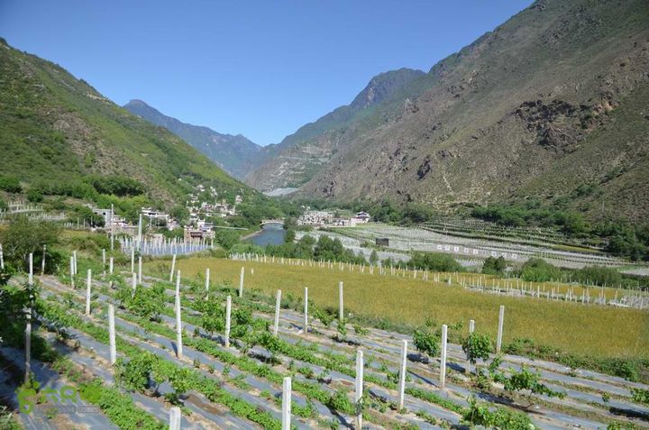 7车8人莫斯卡6日游调整大小 漂亮的村落1