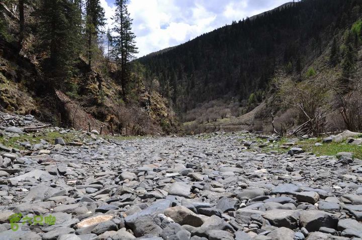 7车8人莫斯卡6日游在路上21