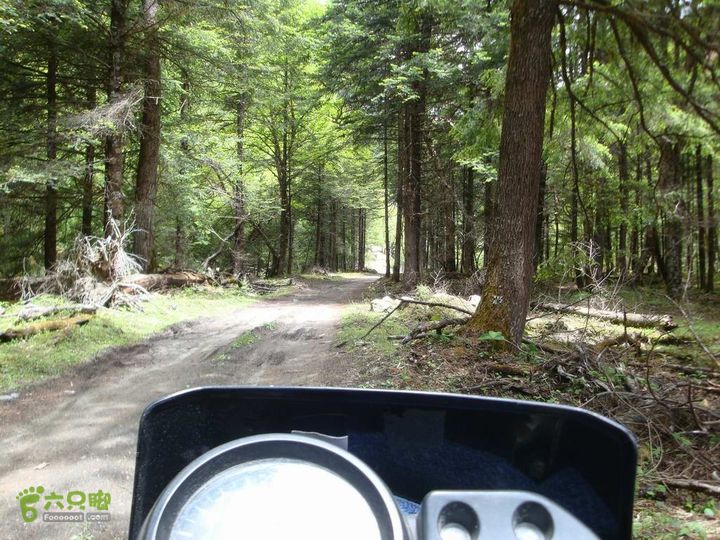 7车8人莫斯卡6日游丛林穿越1