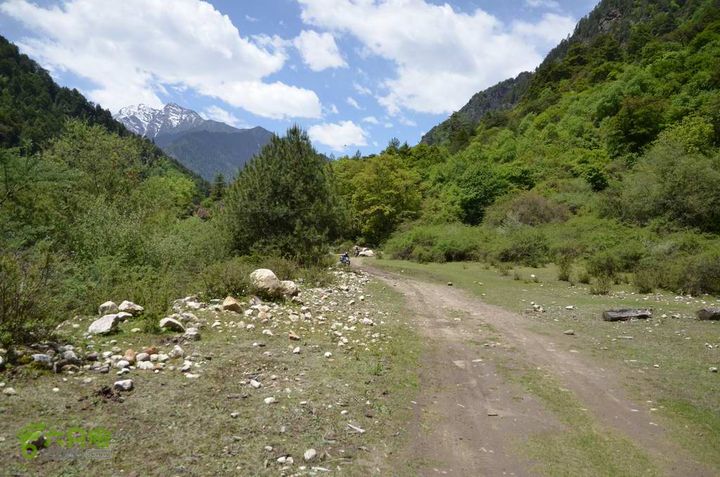 7车8人莫斯卡6日游丛林穿越