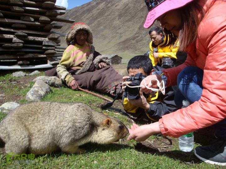 7车8人莫斯卡6日游莫斯卡-旱獭1
