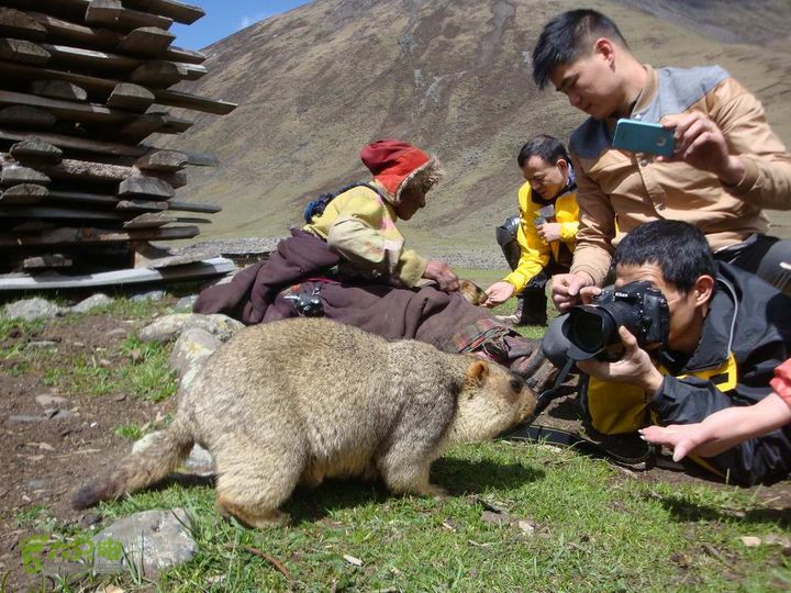7车8人莫斯卡6日游莫斯卡-旱獭2