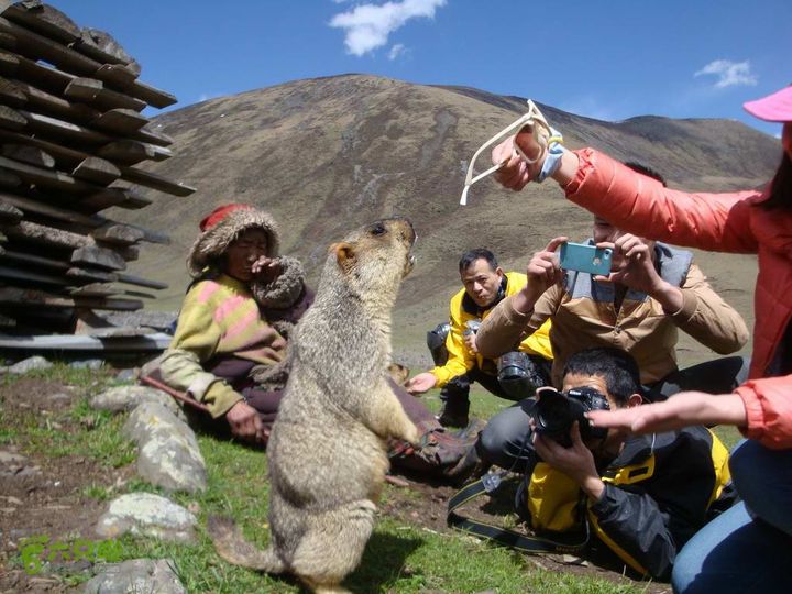 7车8人莫斯卡6日游莫斯卡-旱獭3