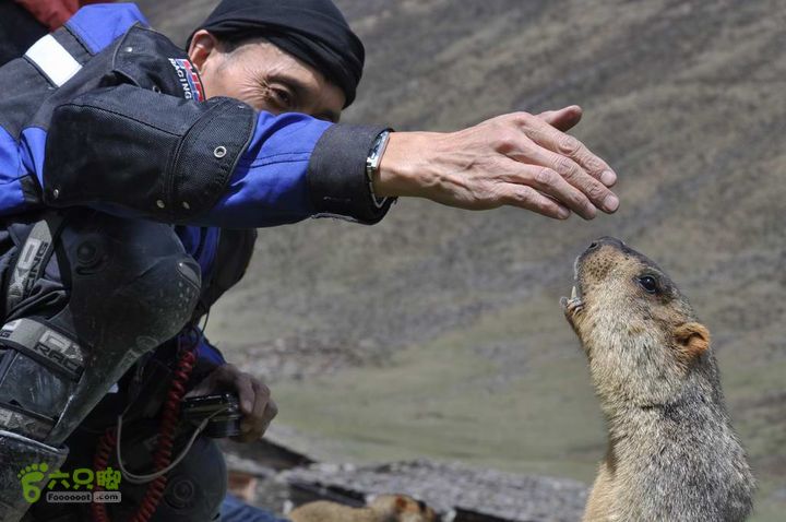 7车8人莫斯卡6日游莫斯卡-旱獭9