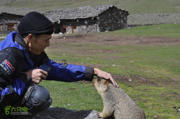 7车8人莫斯卡6日游莫斯卡-旱獭13