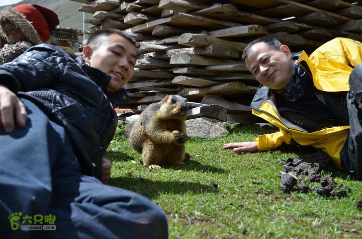 7车8人莫斯卡6日游莫斯卡-旱獭15