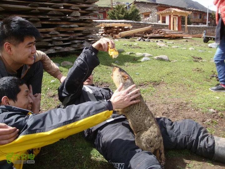 7车8人莫斯卡6日游莫斯卡-旱獭21