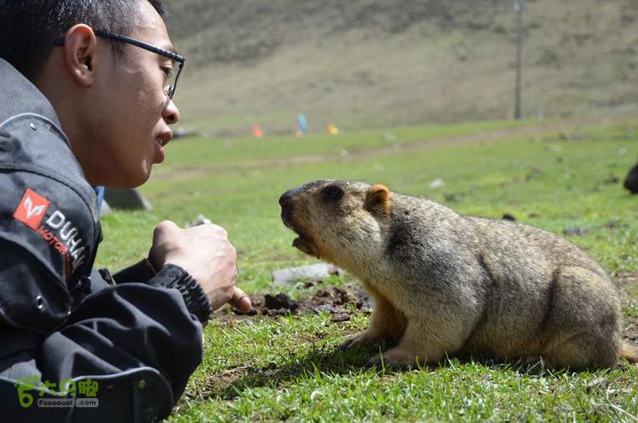7车8人莫斯卡6日游莫斯卡-旱獭22