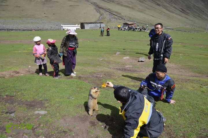 7车8人莫斯卡6日游莫斯卡-旱獭23