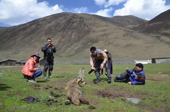 7车8人莫斯卡6日游莫斯卡-旱獭24