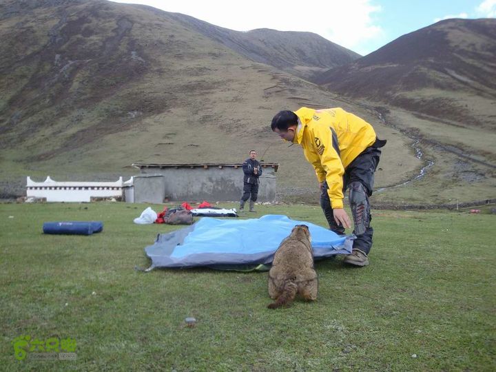 7车8人莫斯卡6日游莫斯卡-旱獭25