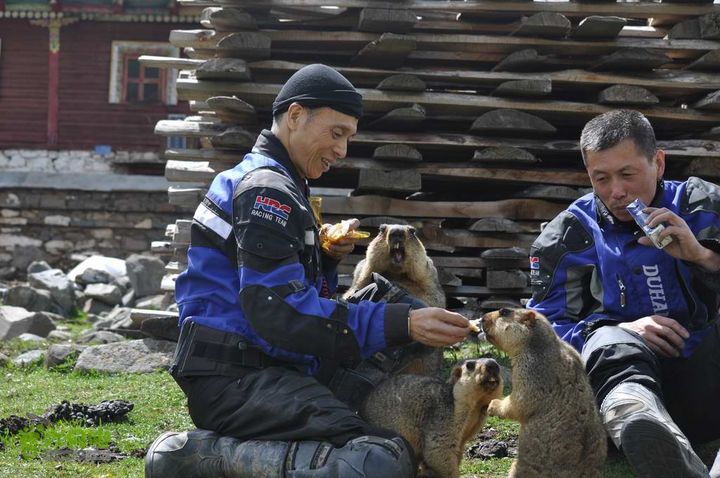 7车8人莫斯卡6日游莫斯卡-旱獭27