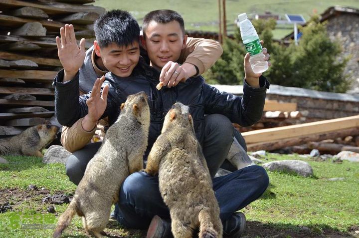 7车8人莫斯卡6日游莫斯卡-旱獭28