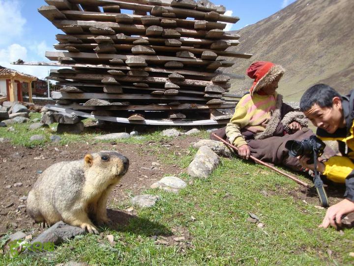 7车8人莫斯卡6日游莫斯卡-旱獭