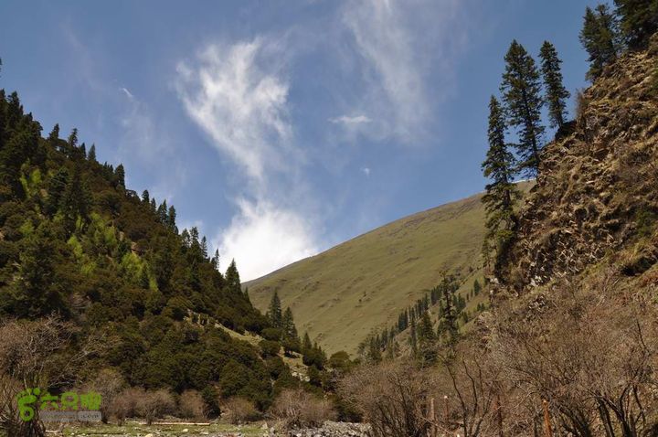 7车8人莫斯卡6日游天空1