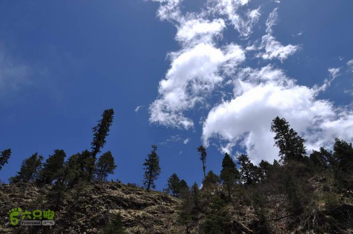 7车8人莫斯卡6日游天空