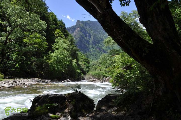 7车8人莫斯卡6日游溪边