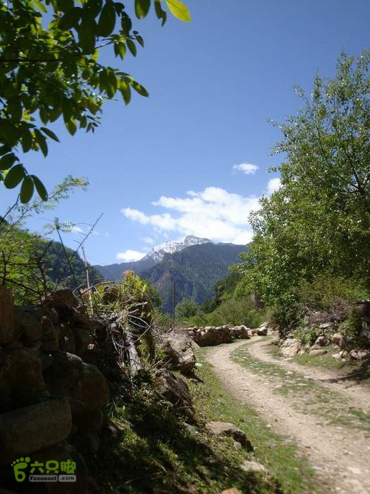 7车8人莫斯卡6日游在路上12