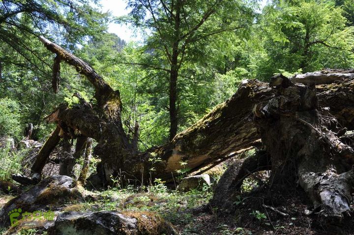 7车8人莫斯卡6日游在路上13