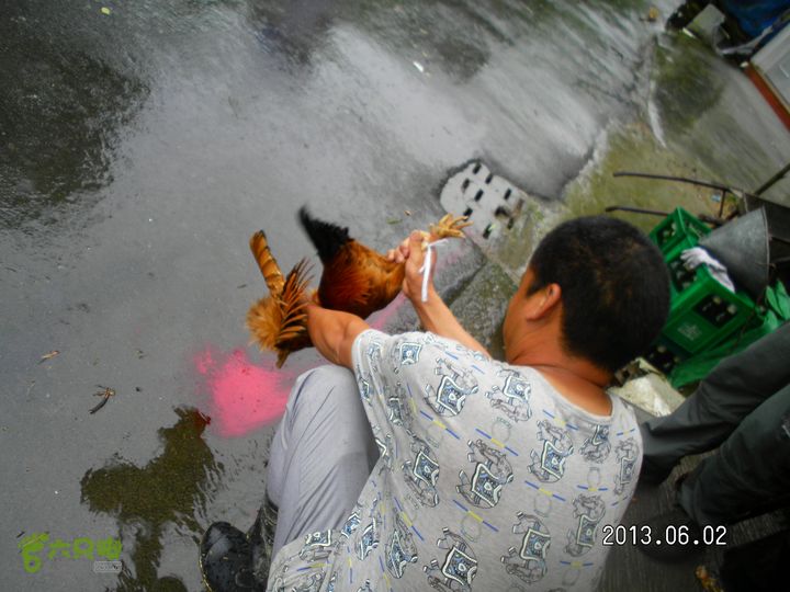 泽雅龙井古道SANY0070