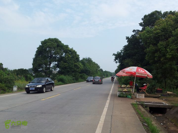 骑行厂窖这一路旁都是这样的简易水果摊，有西瓜、香瓜、李子、桃子，决定回程时停下，满足口舌之欲。