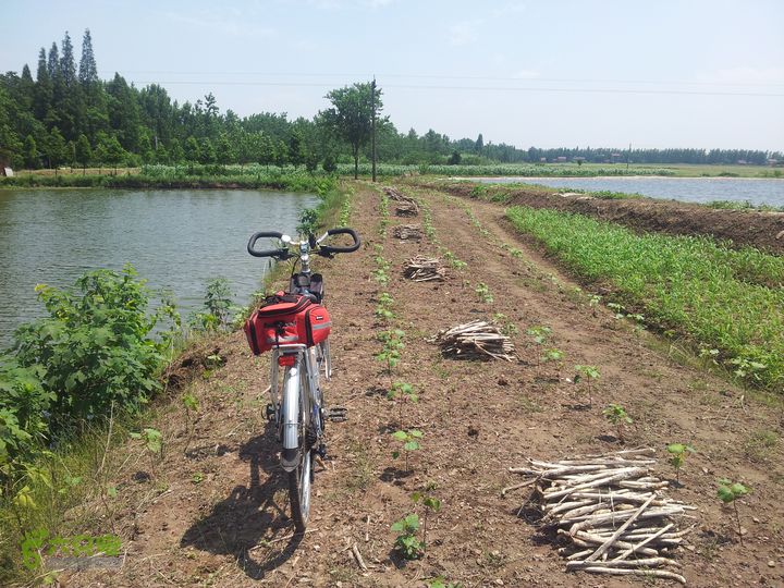 骑行厂窖我们还在千人坑纪念碑的对面，只能绕着鱼塘，应该能够到。