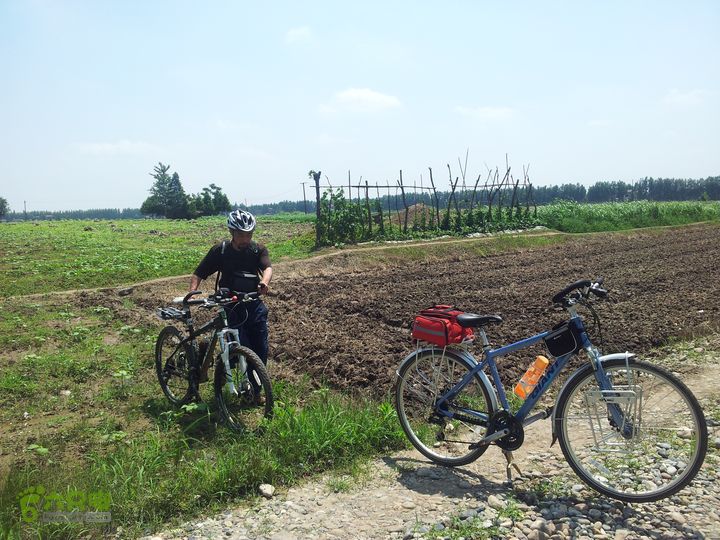 骑行厂窖穿过田地出来，怪不得找不到进去的路。