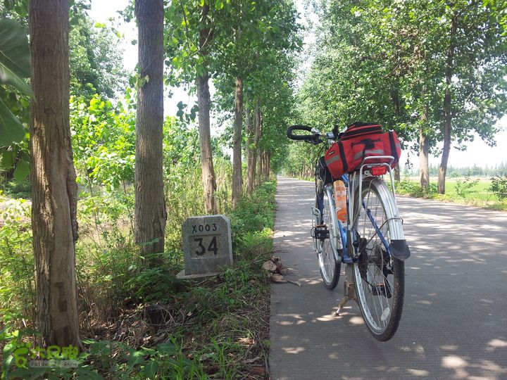 骑行厂窖回望，汉新村千人坑就在前方有人家处。