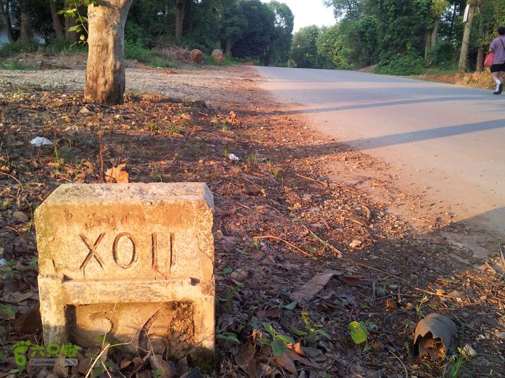 骑行厂窖夕阳下，这一段的骑行非常的爽快，暂时缓解了心中的愁云。