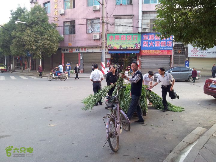 骑行厂窖早上5点起床，出发去羞女山，沿街都是艾草香味，今天是端午节啊！应该去汨罗看屈原才对的哦