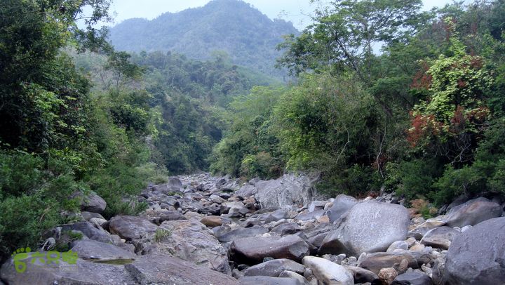 130417海南乐东-佳西红水河峡谷逆溪徒步现是枯水期。  峡谷旁的森林植被特好！