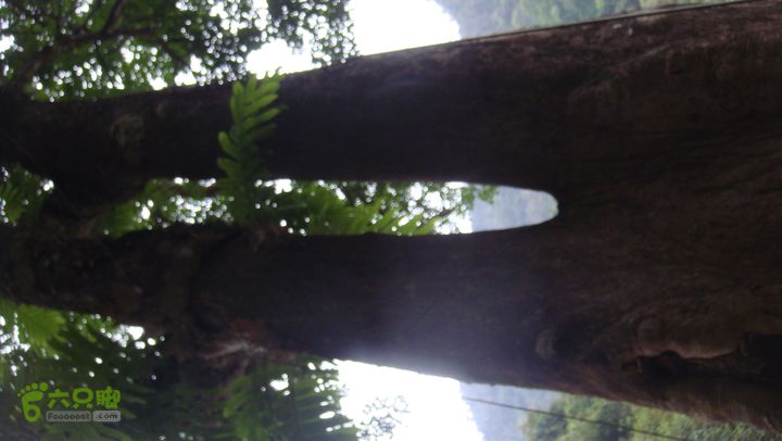 130417海南乐东-佳西红水河峡谷逆溪徒步DSC00871