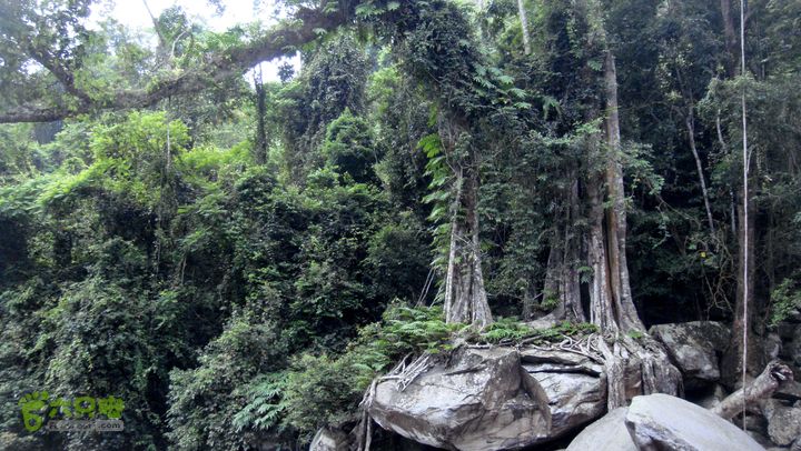 130417海南乐东-佳西红水河峡谷逆溪徒步DSC00872