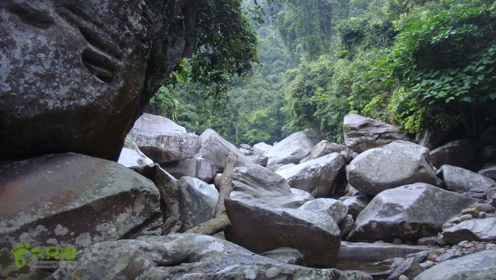 130417海南乐东-佳西红水河峡谷逆溪徒步DSC00881