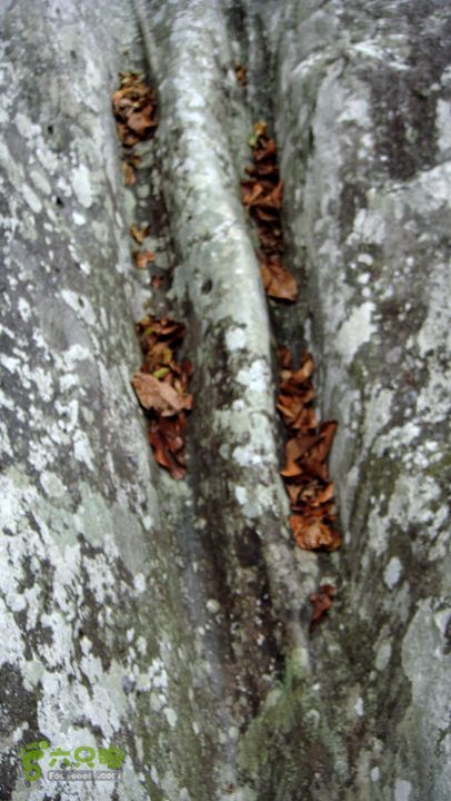 130417海南乐东-佳西红水河峡谷逆溪徒步DSC00884