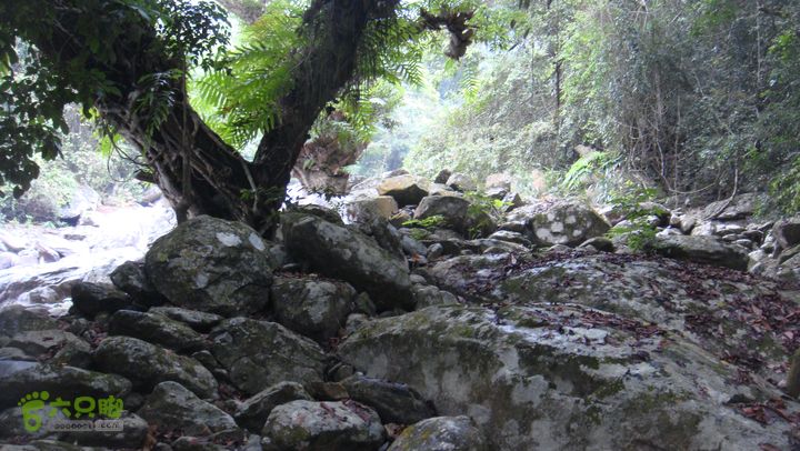 130417海南乐东-佳西红水河峡谷逆溪徒步DSC00889