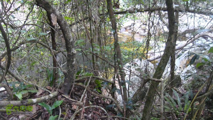 130417海南乐东-佳西红水河峡谷逆溪徒步DSC00893