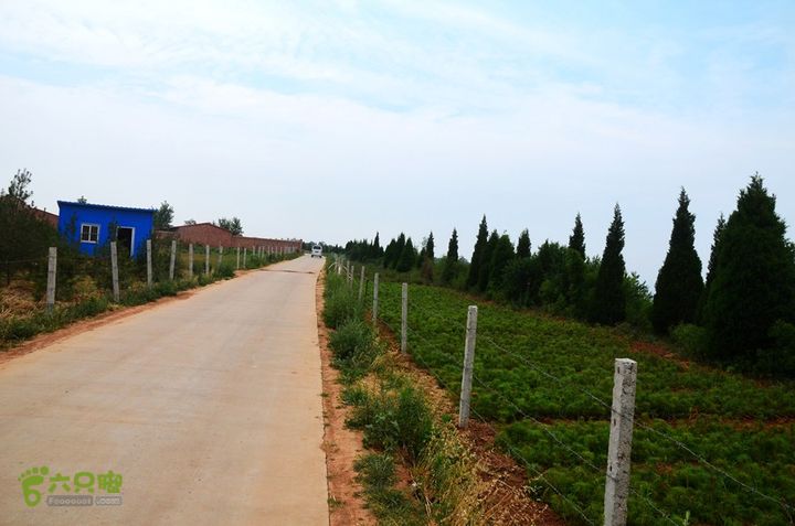 四上白鹿原DSC_0036