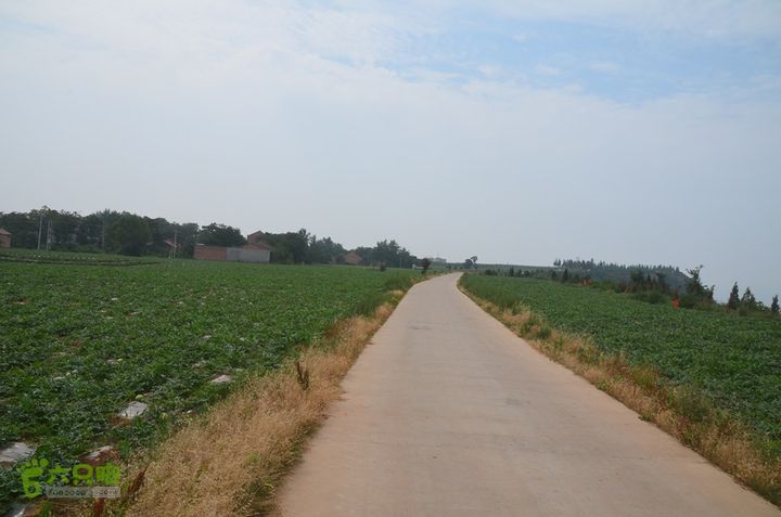 四上白鹿原DSC_0041