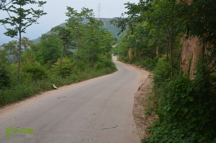 四上白鹿原DSC_0048