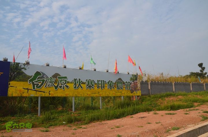 四上白鹿原DSC_0059