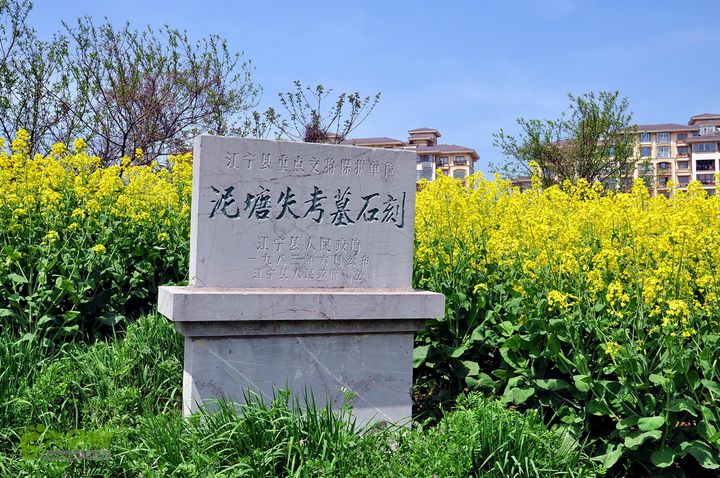 2013.03.31江宁寻古泥塘失考墓石刻