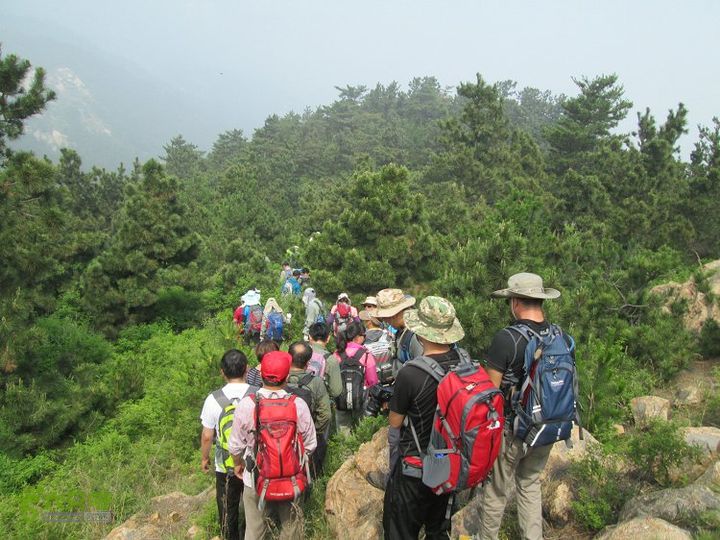 蒙阴龙凤峪IMG_4436