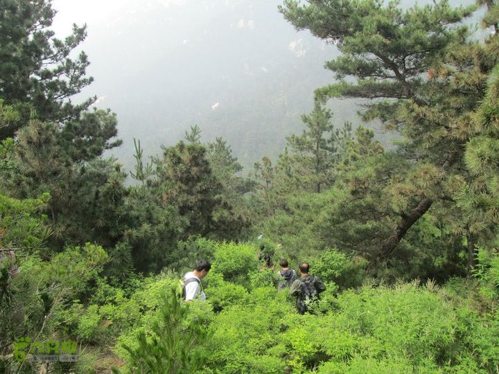 蒙阴龙凤峪IMG_4437