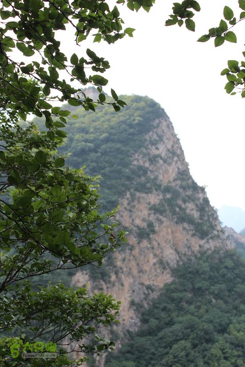 磨涯石刻-鹰飞倒仰-天梯-将军守关-田仙峪-2013-7-6IMG_8331