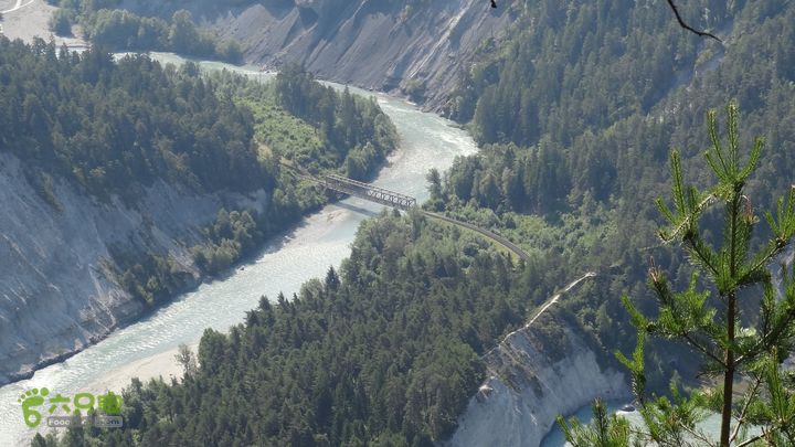 瑞士徒步之莱茵河大峡谷DSC04551_Flims