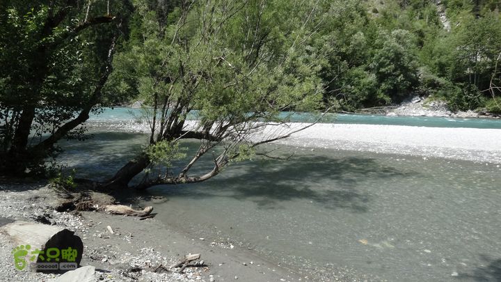 瑞士徒步之莱茵河大峡谷DSC04650_Flims